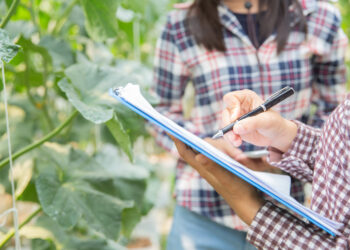 Contratos agrícolas: segurança jurídica nas relações entre produtores, cooperativas e agribusiness