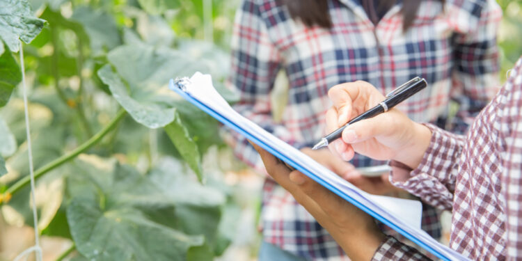 Contratos agrícolas: segurança jurídica nas relações entre produtores, cooperativas e agribusiness