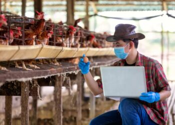 Nota Fiscal Eletrônica do Produtor Rural passa a ser obrigatória em 1° de maio