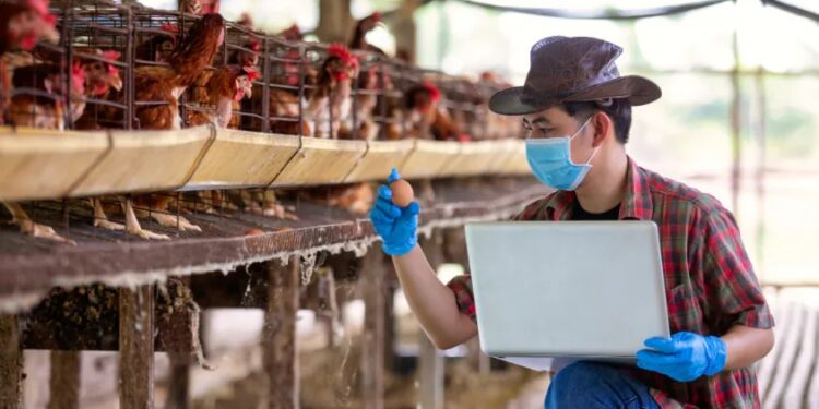 Nota Fiscal Eletrônica do Produtor Rural passa a ser obrigatória em 1° de maio