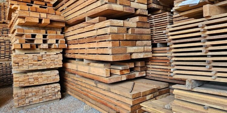 Setor florestal de Mato Grosso fatura US$ 104,6 milhões em negócios com 61 países