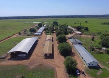 Fazenda da massa falida da Boi Gordo vai a leilão por R$ 88,9 milhões