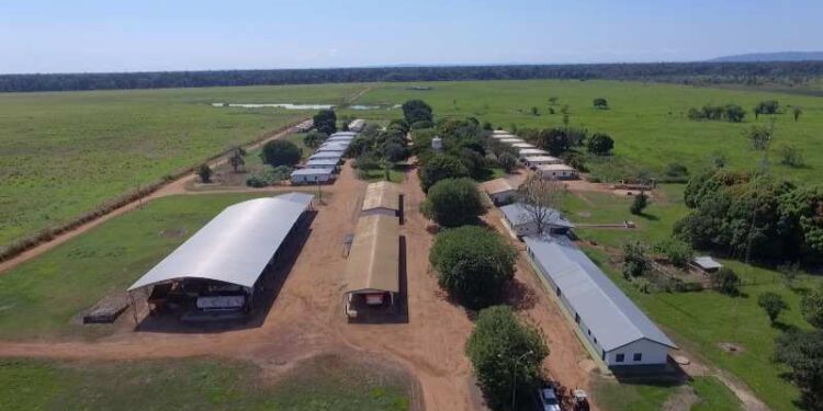 Fazenda da massa falida da Boi Gordo vai a leilão por R$ 88,9 milhões