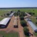 Fazenda da massa falida da Boi Gordo vai a leilão por R$ 88,9 milhões