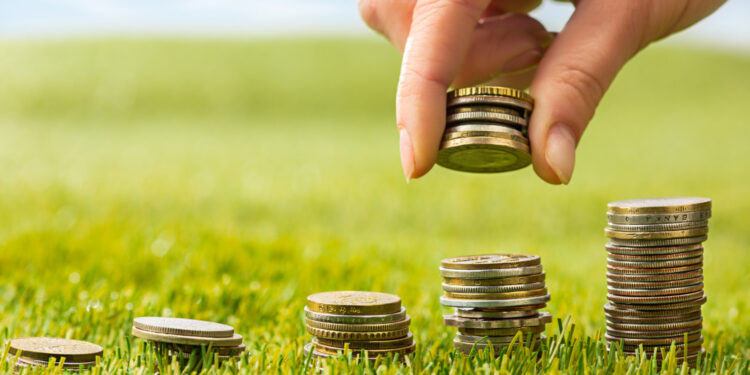 Com mudanças do ITR, CRCGO orienta contribuintes sobre entrega da declaração