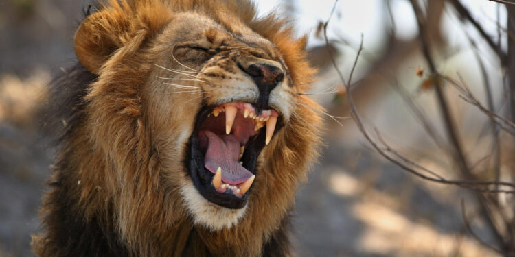 Haddad ataca novamente. A alegria de contribuinte dura pouco