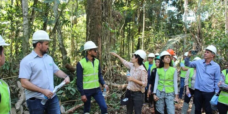 Mato Grosso promove evento sobre gestão florestal
