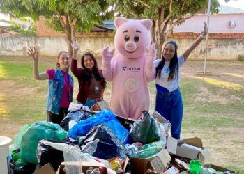 Sicoob Unicidades celebra Dia Mundial do Meio Ambiente com iniciativa sustentável em Pedra Preta (MT)