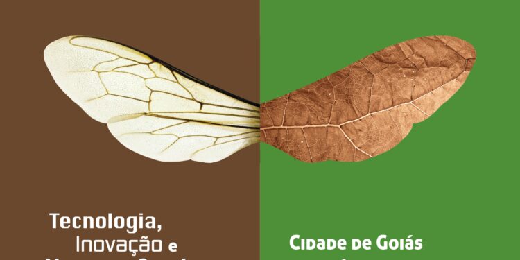 Fica 2024 divulga programação oficial completa