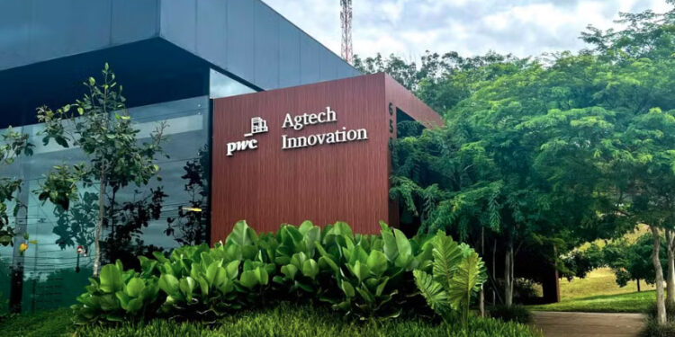 Programa da PwC impulsiona startups do agronegócio