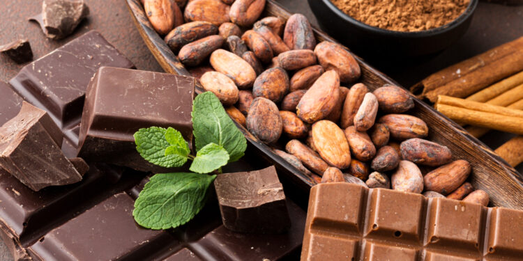 Do cacau ao chocolate: um tesouro de saúde e cultura