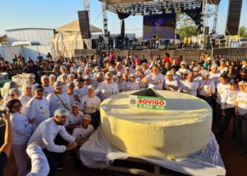 Indústria de Mato Grosso produz o maior queijo frescal do Brasil