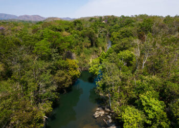 Legado Verdes do Cerrado torna-se a primeira Reserva Particular de Desenvolvimento Sustentável de Goiás