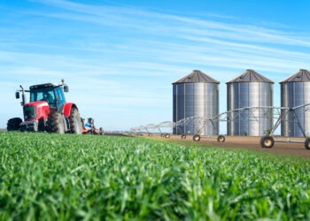 Mato Grosso desponta como líder no crescimento do agronegócio e agroindústria