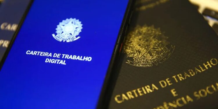 Setor de serviços lidera geração de empregos em Goiás