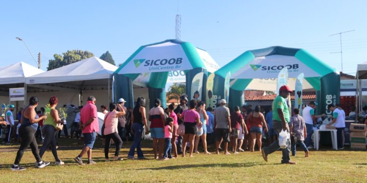 Sicoob UniCentro Br celebra o Dia do Cooperativismo com série de atividades