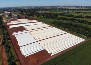 Silo bolsa ajuda o produtor a valorizar a safra