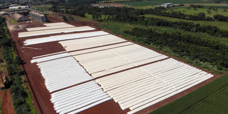 Silo bolsa ajuda o produtor a valorizar a safra
