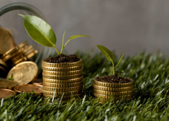 Coluna do Freitas: Investimentos da economia brasileira