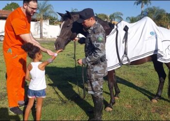 Pacientes do HMAP recebem visita de cavalo da Polícia Militar de Goiás