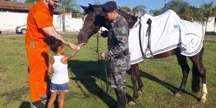 Pacientes do HMAP recebem visita de cavalo da Polícia Militar de Goiás