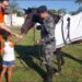 Pacientes do HMAP recebem visita de cavalo da Polícia Militar de Goiás