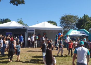 Instituto Sicoob e cooperativas filiadas à Central Sicoob Uni participam do Dia de Cooperar