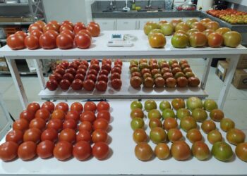 Fapeg impulsiona certificação digital de produtos agrícolas em Goiás