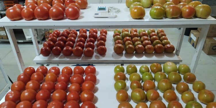 Fapeg impulsiona certificação digital de produtos agrícolas em Goiás