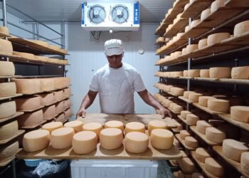 Goiás avança na produção de queijo artesanal reconhecido nacionalmente