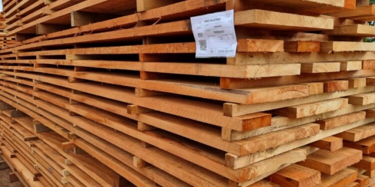 Greve do Ibama provoca crise no setor florestal de Mato Grosso