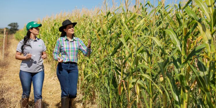 Igualdade feminina no agro: mulheres contam suas experiências