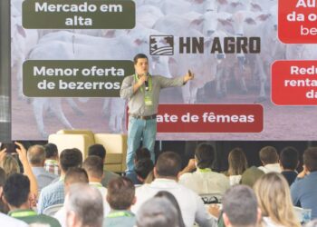 Mercado do boi e manejo de pastagens marcam III Encontro Técnico da Pecuária