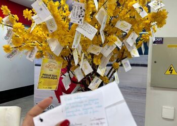 Shopping Gallo e o Projeto Help se unem em conscientização pela vida