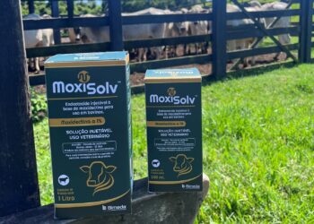 Soluções para sanidade do rebanho são foco da Bimeda no Feedlot Summit Brazil