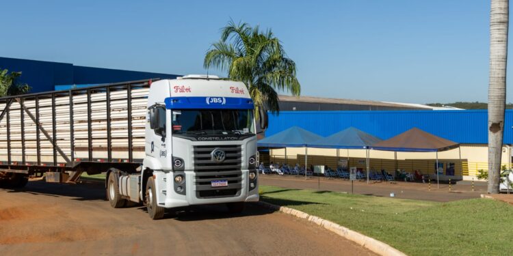 Transportadora da JBS usa Inteligência Artificial para salvar vidas no trânsito