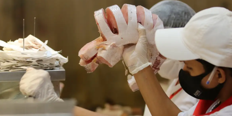 EUA diminuem burocracia para comprar pescados brasileiros