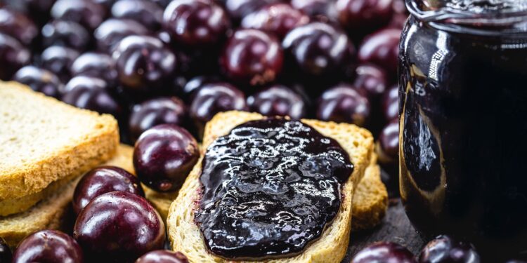Jabuticaba: conheça o poder da fruta tipicamente brasileira