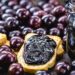 Jabuticaba: conheça o poder da fruta tipicamente brasileira