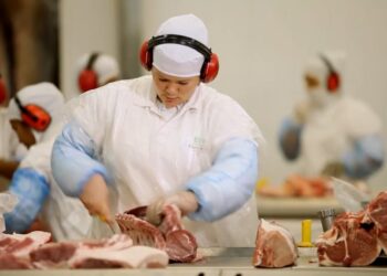 Nutribras Alimentos contribui com faculdade de medicina doando órgãos de suínos para estudos