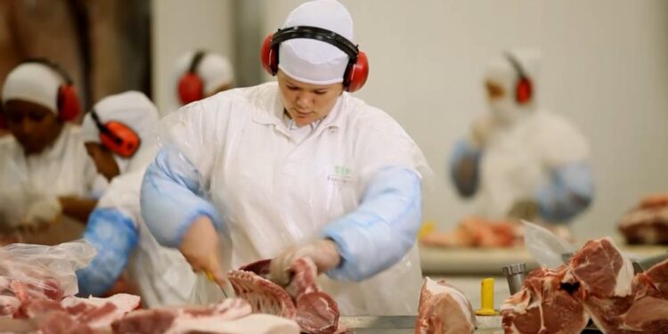 Nutribras Alimentos contribui com faculdade de medicina doando órgãos de suínos para estudos