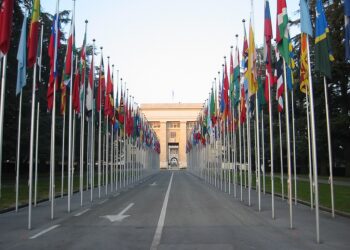 Adial leva Goiás ao Fórum da ONU na Suíça