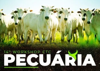 Cooperativa COMIGO realiza o 14º Workshop de Pecuária