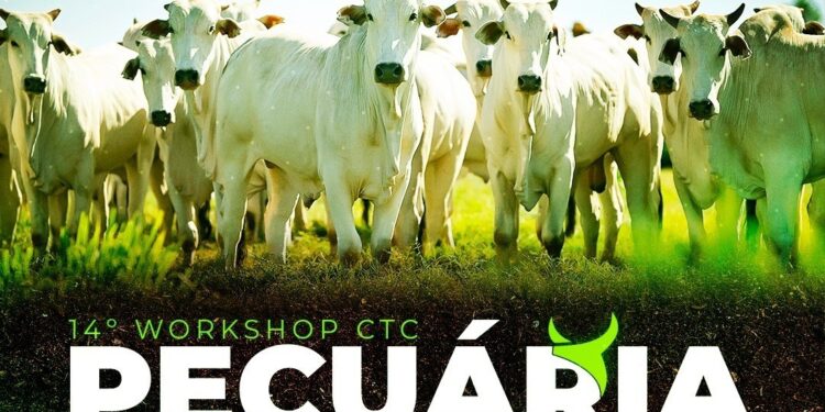 Cooperativa COMIGO realiza o 14º Workshop de Pecuária