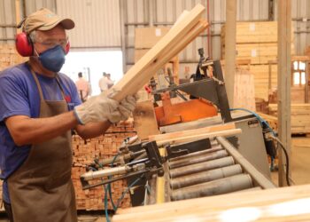 Goiás alcança recorde histórico de empregos formais em setembro