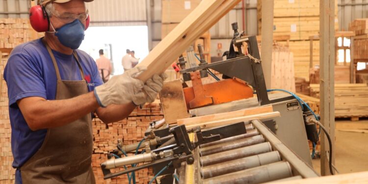 Goiás alcança recorde histórico de empregos formais em setembro