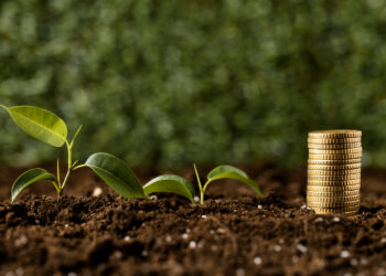 Grupo Cereal anuncia emissão de R$ 450 mi em Certificados de Recebíveis do Agronegócio (CRA)