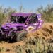 Time goiano conquista Top 10 no South American Rally Race
