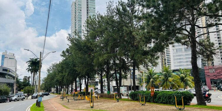 Região da Ricardo Paranhos é uma das mais desejadas em Goiânia