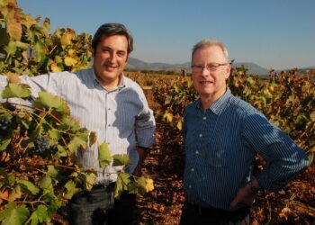Viña Ventisquero é eleita vinícola do ano de 2024
